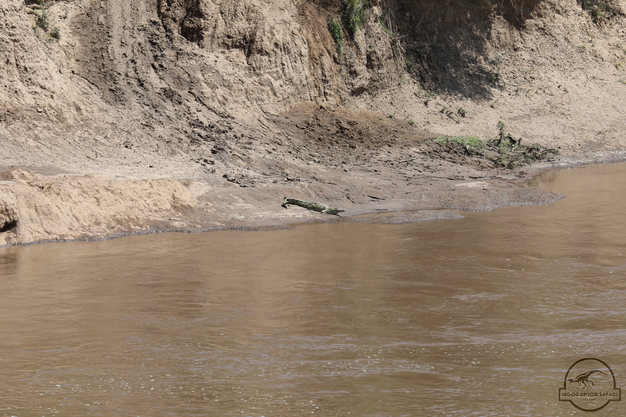 [40] 2019_07_01_16_21_56_Africa_Canon_EOS_5D_Mark_IV_IMG_0011347_00012.jpg