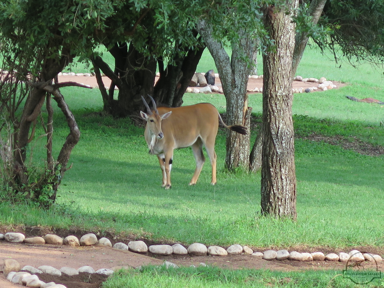 [47] 2019_06_29_09_48_14_Africa_Canon_PowerShot_G16_IMG_0197_00024.jpg
