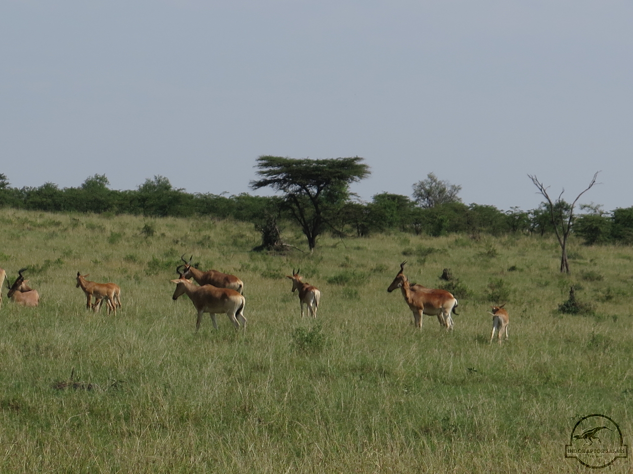 [114] 2019_06_30_03_46_20_Africa_Canon_PowerShot_G16_IMG_0082_00027.jpg