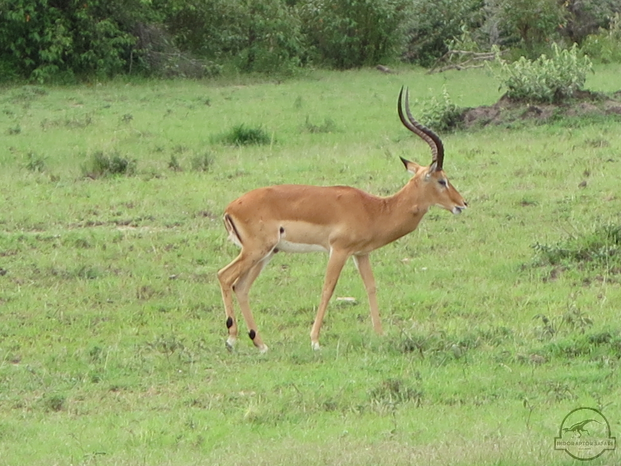 [133] 2019_07_04_02_40_36_Africa_Canon_PowerShot_G16_IMG_0042_00051.jpg