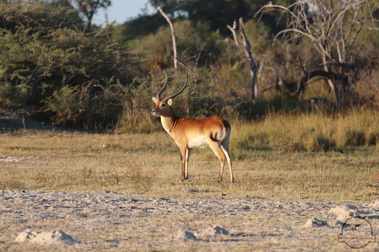 [161] 2019_06_21_17_18_46_Africa_Canon_EOS_77D_IMG_0796_00004.jpg
