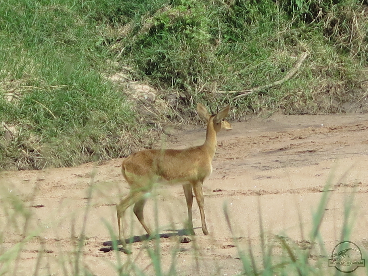 [179] 2019_07_03_05_30_32_Africa_Canon_PowerShot_G16_IMG_0142_00003.jpg