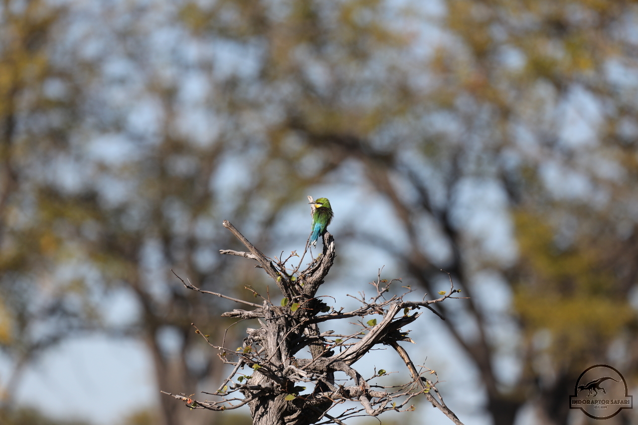 [347] 2019_06_21_21_08_47_Africa_Canon_EOS_5D_Mark_IV_IMG_0004328_00001.jpg
