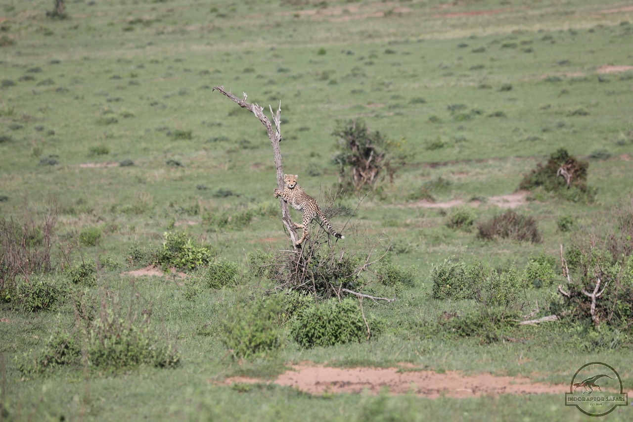 [507] 2019_07_01_12_41_16_Africa_Canon_EOS_5D_Mark_IV_IMG_0011055_00005.jpg