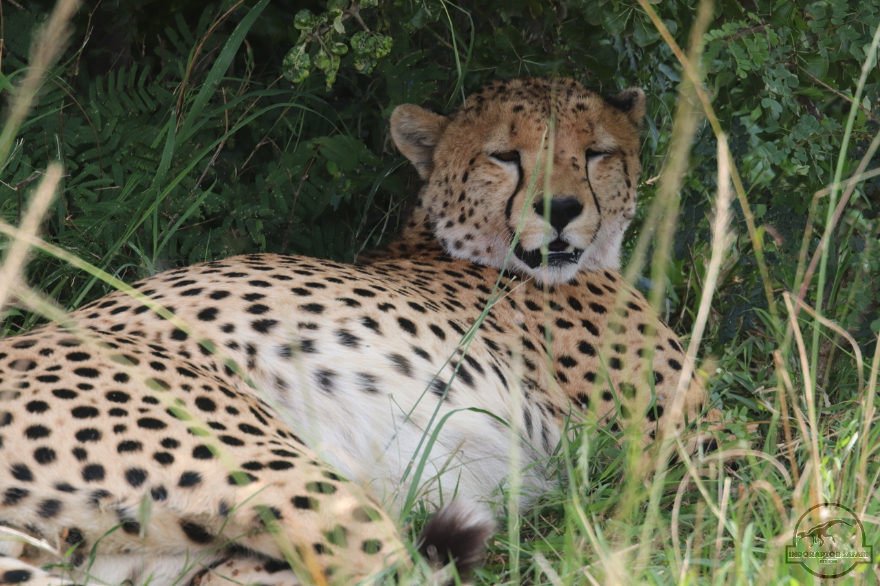 [510] 2019_07_02_11_42_27_Africa_Canon_EOS_77D_IMG_3167_00192.jpg