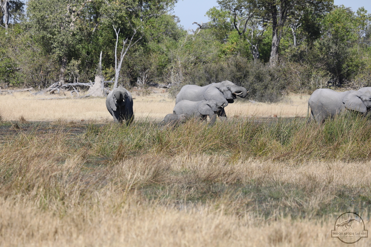 [545] 2019_06_20_16_25_07_Africa_Canon_EOS_5D_Mark_IV_IMG_0001725_00008.jpg