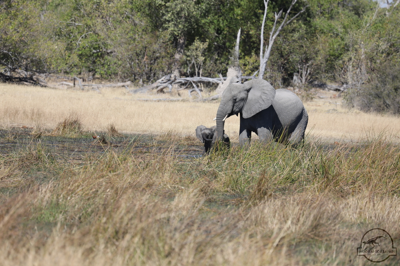 [550] 2019_06_20_16_27_15_Africa_Canon_EOS_5D_Mark_IV_IMG_0001767_00204.jpg