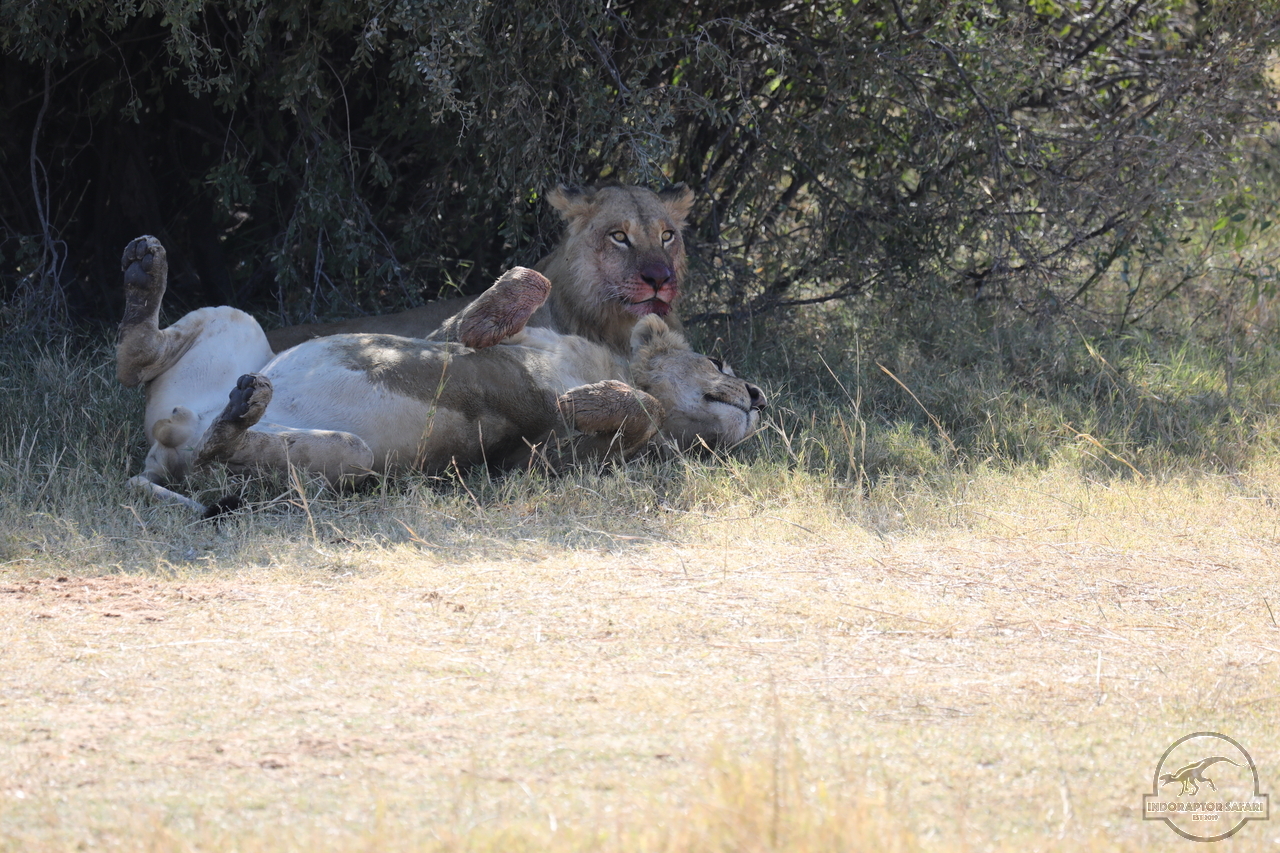 [1094] 2019_06_20_16_23_34_Africa_Canon_EOS_5D_Mark_IV_IMG_0001686_00479.jpg