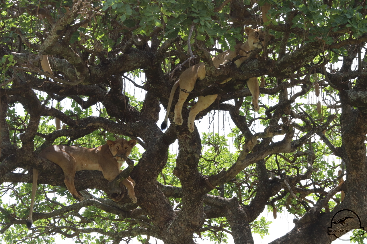 [1131] 2019_07_03_13_29_30_Africa_Canon_EOS_77D_IMG_3638_00035.jpg
