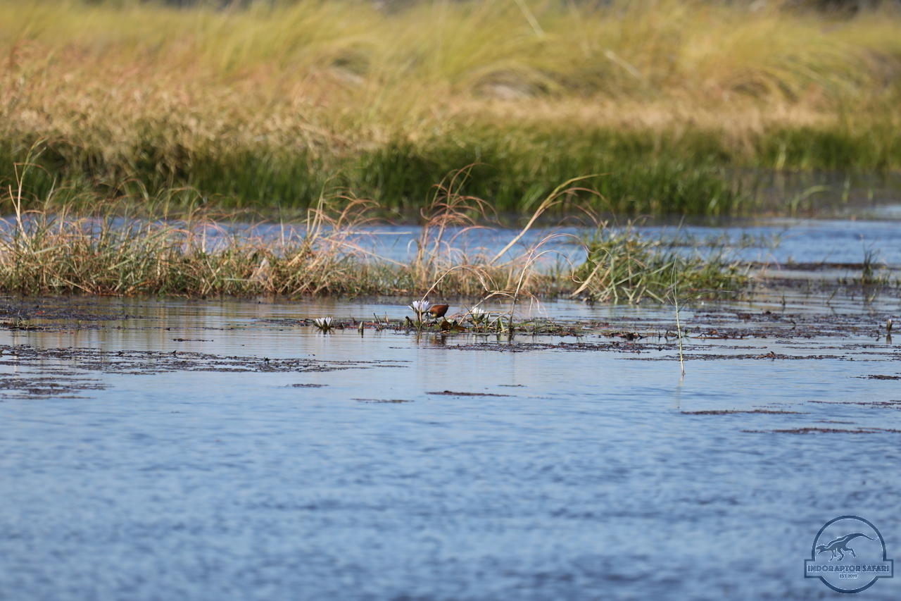 [1215] 2019_06_21_17_33_10_Africa_Canon_EOS_5D_Mark_IV_IMG_0004066_00022.jpg