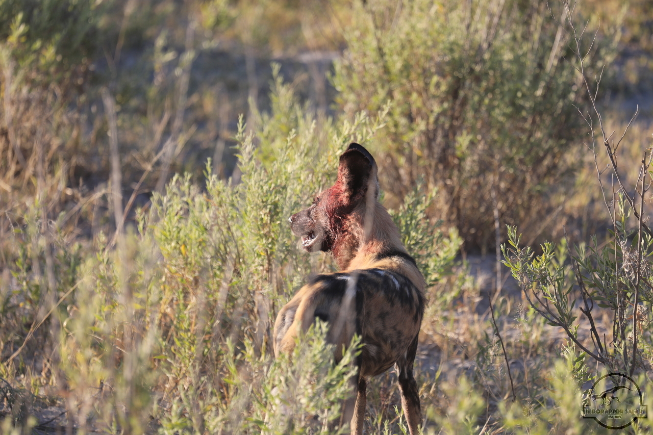 [1233] 2019_06_20_12_45_13_Africa_Canon_EOS_5D_Mark_IV_IMG_0000862_00004.jpg