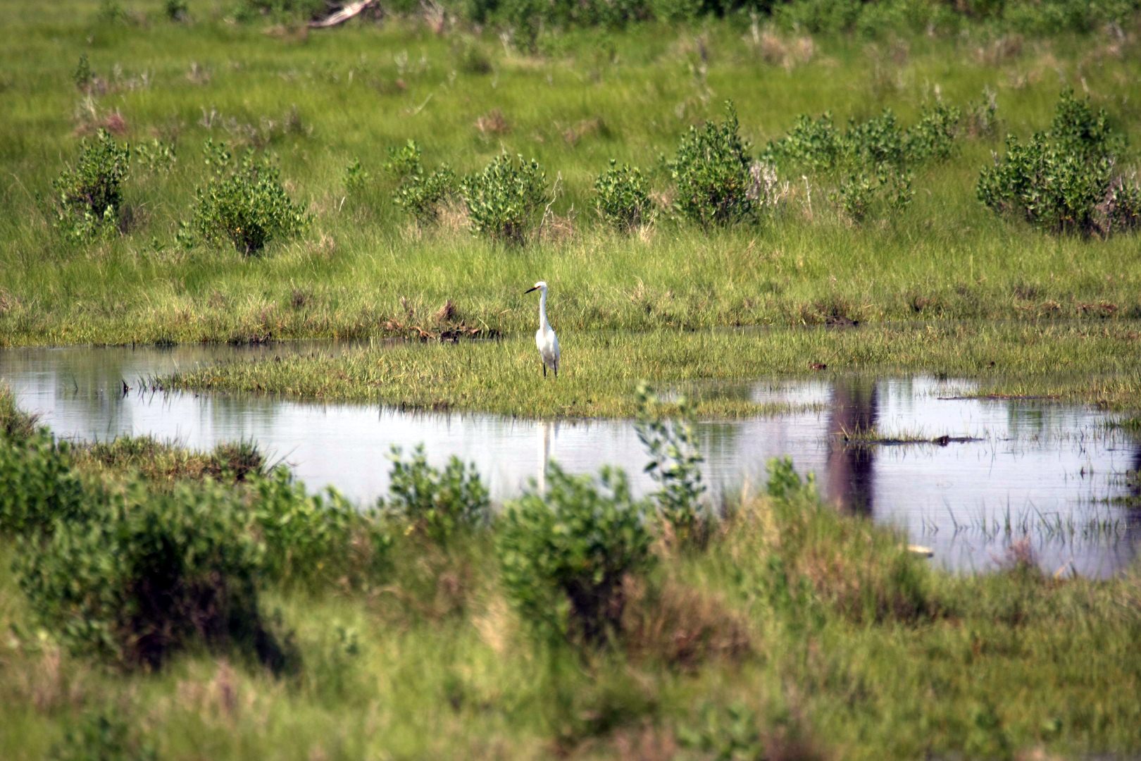 Assateague Island Vacation | 13-18 June 2014 | Sat, 14 Jun 2014 11:04:44 AM Assateague Island Vacation | 13-18 June 2014 | Sat, 14 Jun 2014 11:04:44 AM