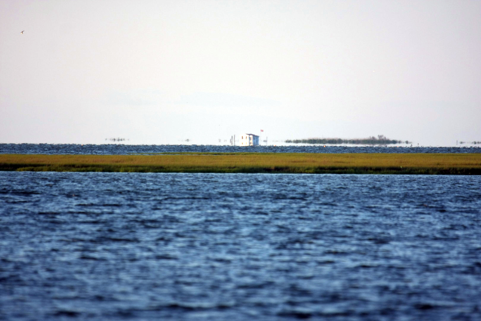 Assateague Island Vacation | 13-18 June 2014 | Sat, 14 Jun 2014 | 7:54:05 PM Assateague Island Vacation | 13-18 June 2014 | Sat, 14 Jun 2014 | 7:54:05 PM