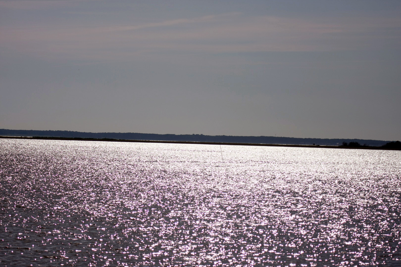 Assateague Island Vacation | 13-18 June 2014 | Sun, 15 Jun 2014 | 5:29:30 PM Assateague Island Vacation | 13-18 June 2014 | Sun, 15 Jun 2014 | 5:29:30 PM
