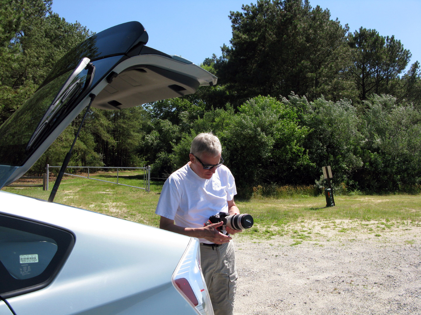 Assateague Island Vacation | 13-18 June 2014 | Sat, 14 Jun 2014 | 3:08:46 PM Assateague Island Vacation | 13-18 June 2014 | Sat, 14 Jun 2014 | 3:08:46 PM