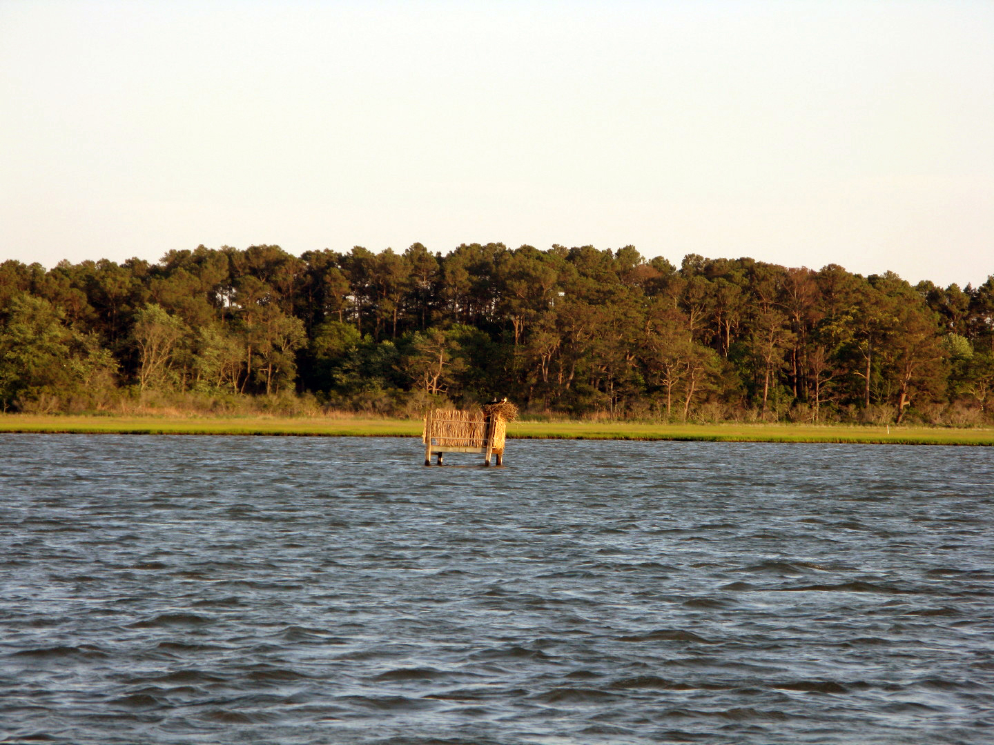 Assateague Island Vacation | 13-18 June 2014 | Sat, 14 Jun 2014 | 7:29:26 PM Assateague Island Vacation | 13-18 June 2014 | Sat, 14 Jun 2014 | 7:29:26 PM
