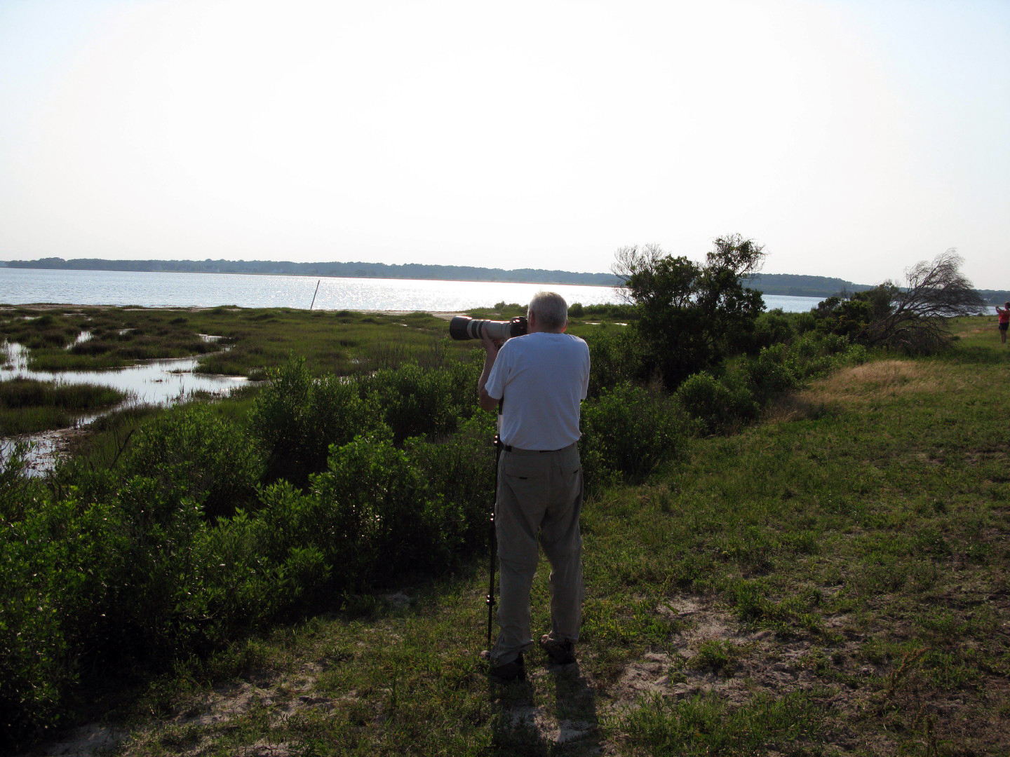Assateague Island Vacation | 13-18 June 2014 | Mon, 16 Jun 2014 | 5:57:15 PM Assateague Island Vacation | 13-18 June 2014 | Mon, 16 Jun 2014 | 5:57:15 PM