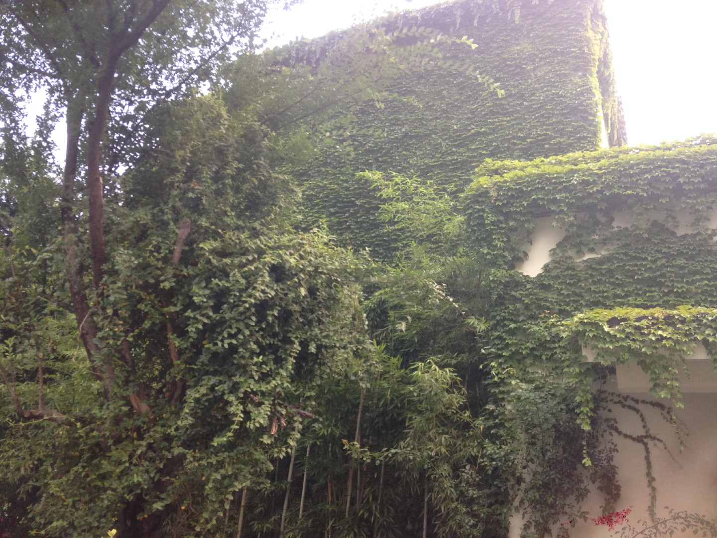 China Trip | 18-27 July 2014 | Sun, 20 Jul 2014 | 4:12:23 PM China Trip | 18-27 July 2014 | Sun, 20 Jul 2014 | 4:12:23 PM