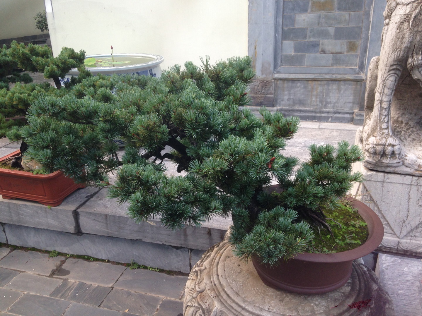 China Trip | 18-27 July 2014 | Sun, 20 Jul 2014 | 4:19:34 PM China Trip | 18-27 July 2014 | Sun, 20 Jul 2014 | 4:19:34 PM