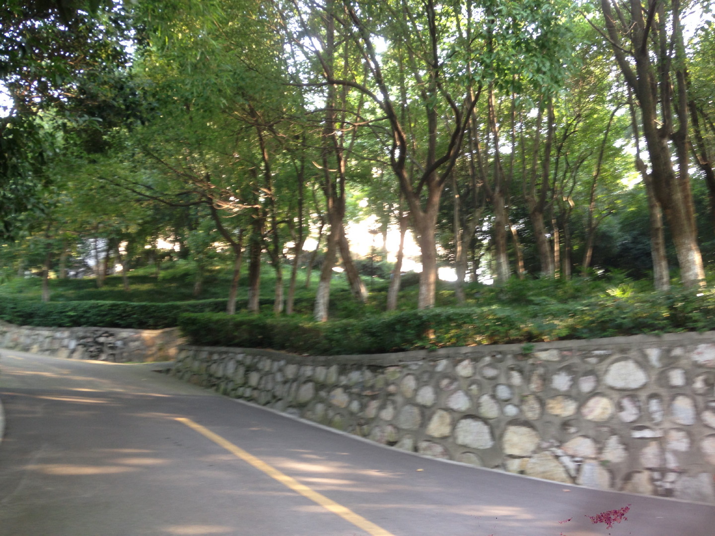 China Trip | 18-27 July 2014 | Tue, 22 Jul 2014 7:42:14 AM China Trip | 18-27 July 2014 | Tue, 22 Jul 2014 7:42:14 AM