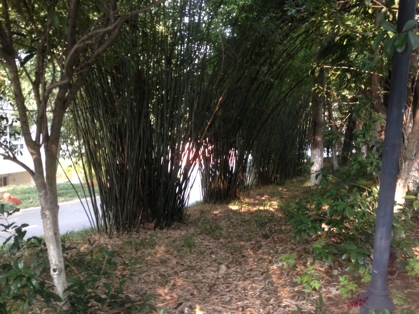 China Trip | 18-27 July 2014 | Tue, 22 Jul 2014 7:42:24 AM China Trip | 18-27 July 2014 | Tue, 22 Jul 2014 7:42:24 AM