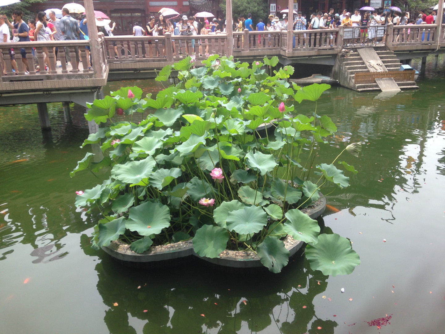 China Trip | 18-27 July 2014 | Sat, 26 Jul 2014 12:09:13 PM China Trip | 18-27 July 2014 | Sat, 26 Jul 2014 12:09:13 PM
