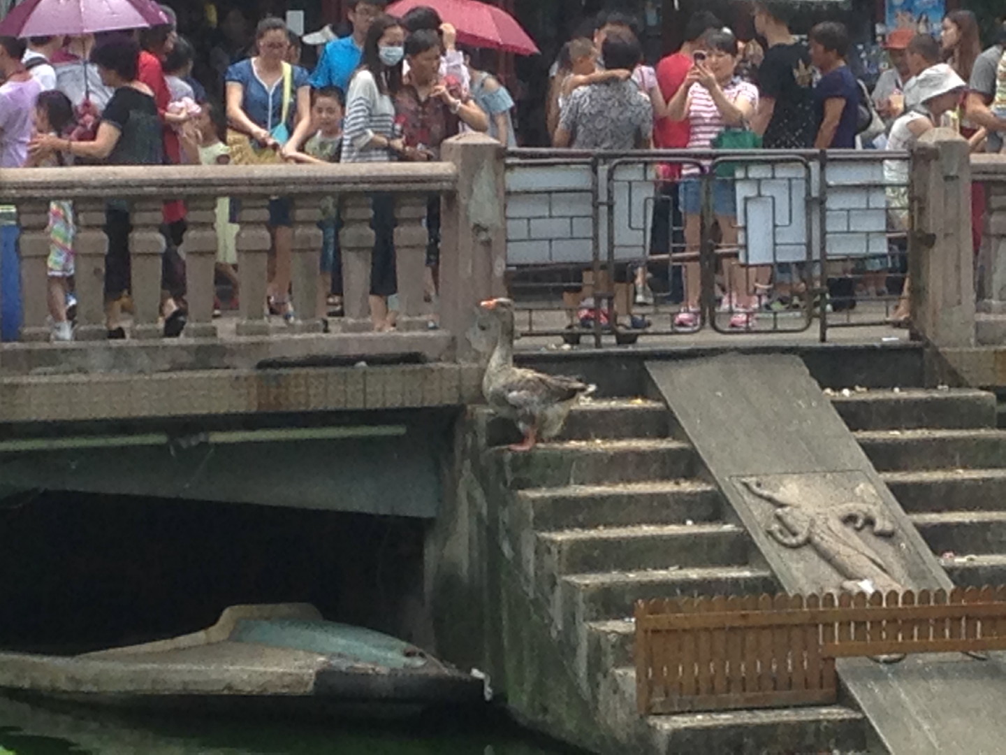 China Trip | 18-27 July 2014 | Sat, 26 Jul 2014 12:10:25 PM China Trip | 18-27 July 2014 | Sat, 26 Jul 2014 12:10:25 PM