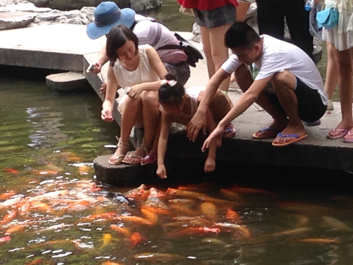China Trip | 18-27 July 2014 | Sat, 26 Jul 2014 | 2:43:16 PM China Trip | 18-27 July 2014 | Sat, 26 Jul 2014 | 2:43:16 PM