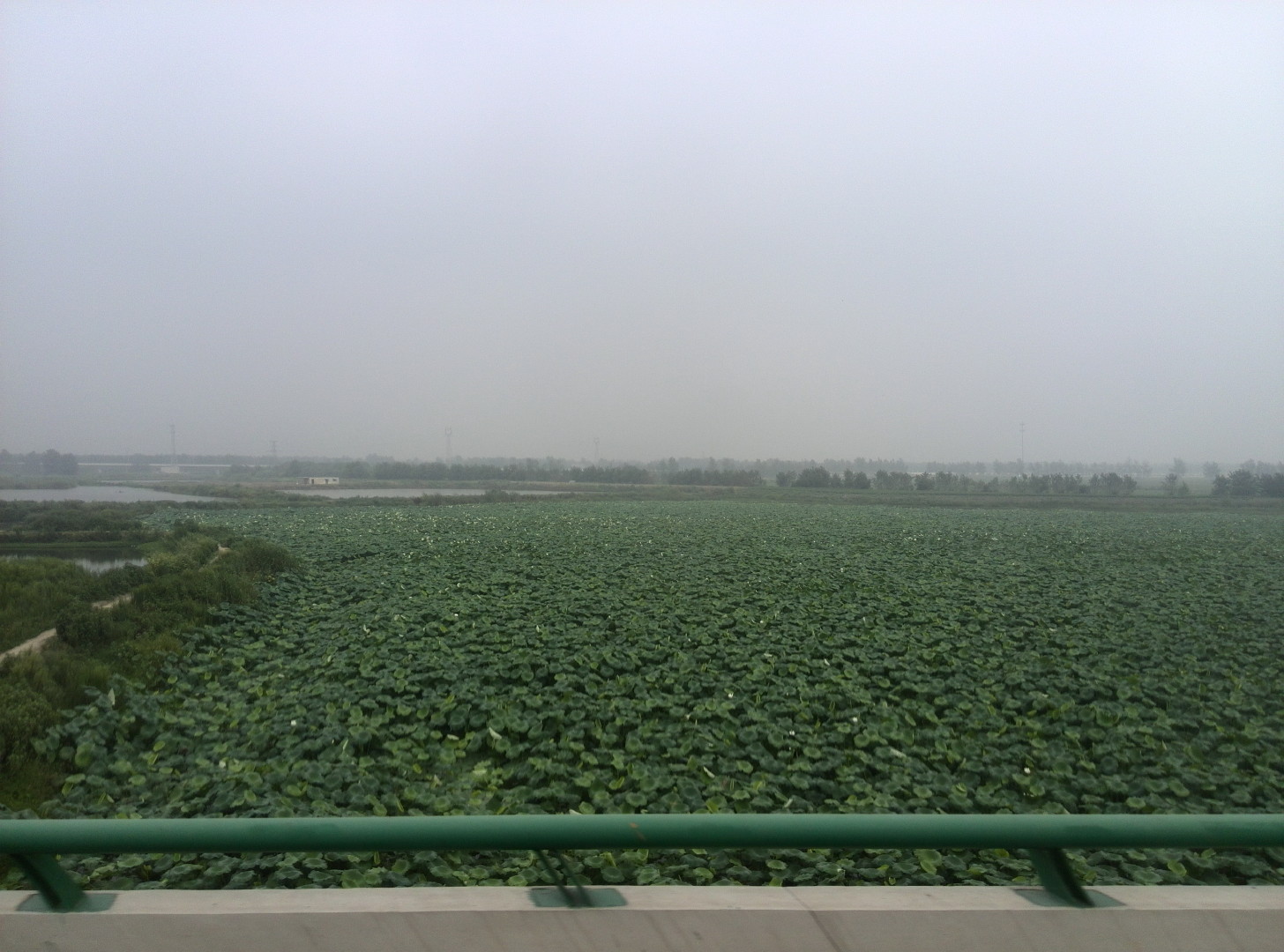 China Trip | 18-27 July 2014 | Thu, 24 Jul 2014 9:29:35 AM China Trip | 18-27 July 2014 | Thu, 24 Jul 2014 9:29:35 AM