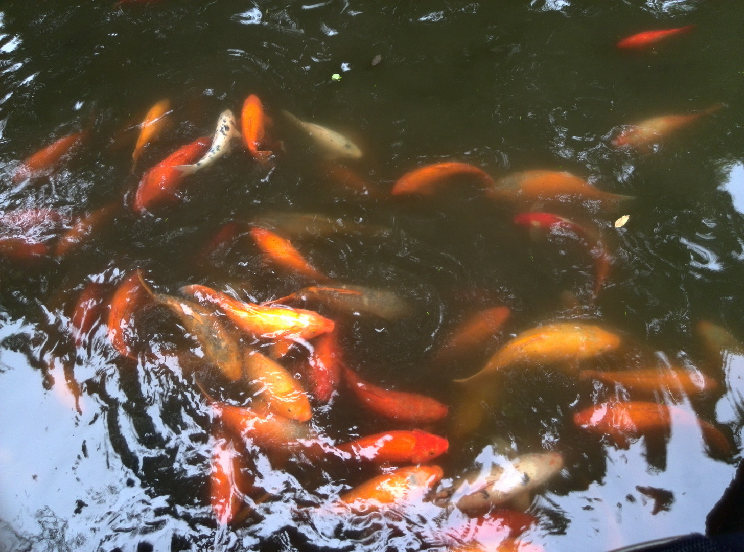 China Trip | 18-27 July 2014 | Sat, 26 Jul 2014 | 2:47:27 PM China Trip | 18-27 July 2014 | Sat, 26 Jul 2014 | 2:47:27 PM