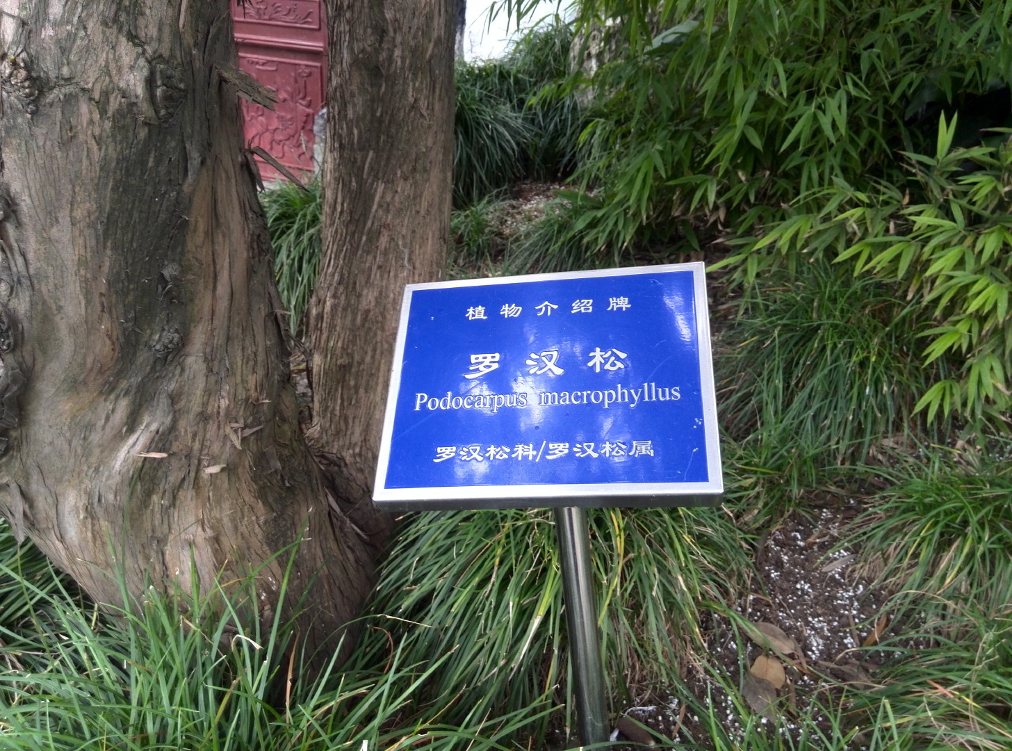 China Trip | 18-27 July 2014 | Sat, 26 Jul 2014 | 2:56:41 PM China Trip | 18-27 July 2014 | Sat, 26 Jul 2014 | 2:56:41 PM