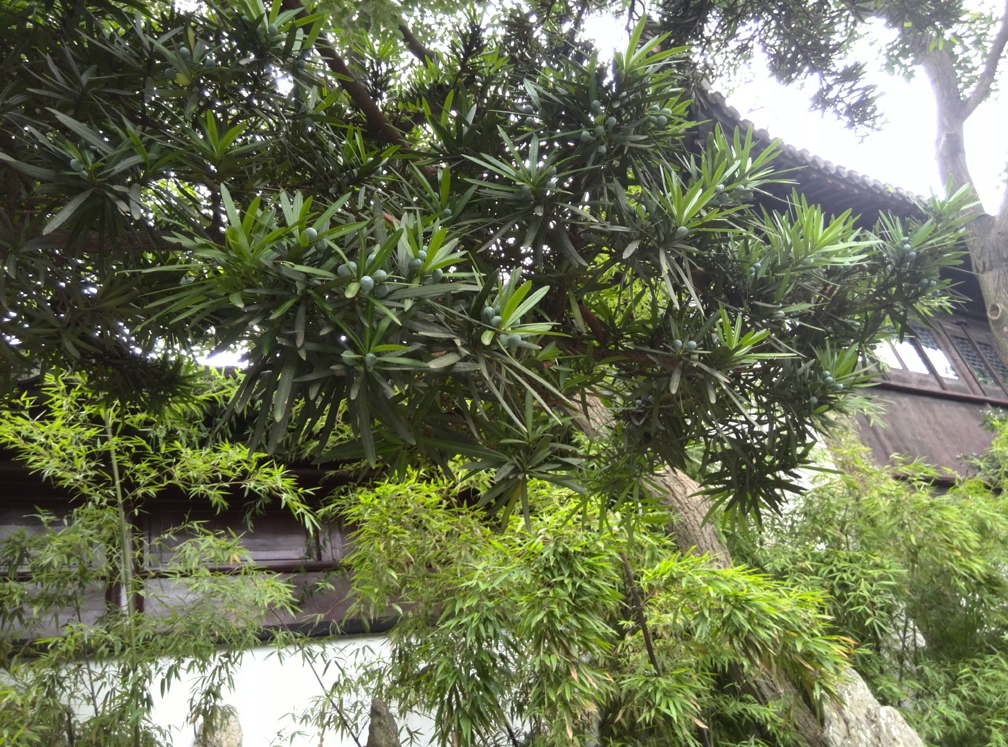 China Trip | 18-27 July 2014 | Sat, 26 Jul 2014 | 2:56:54 PM China Trip | 18-27 July 2014 | Sat, 26 Jul 2014 | 2:56:54 PM
