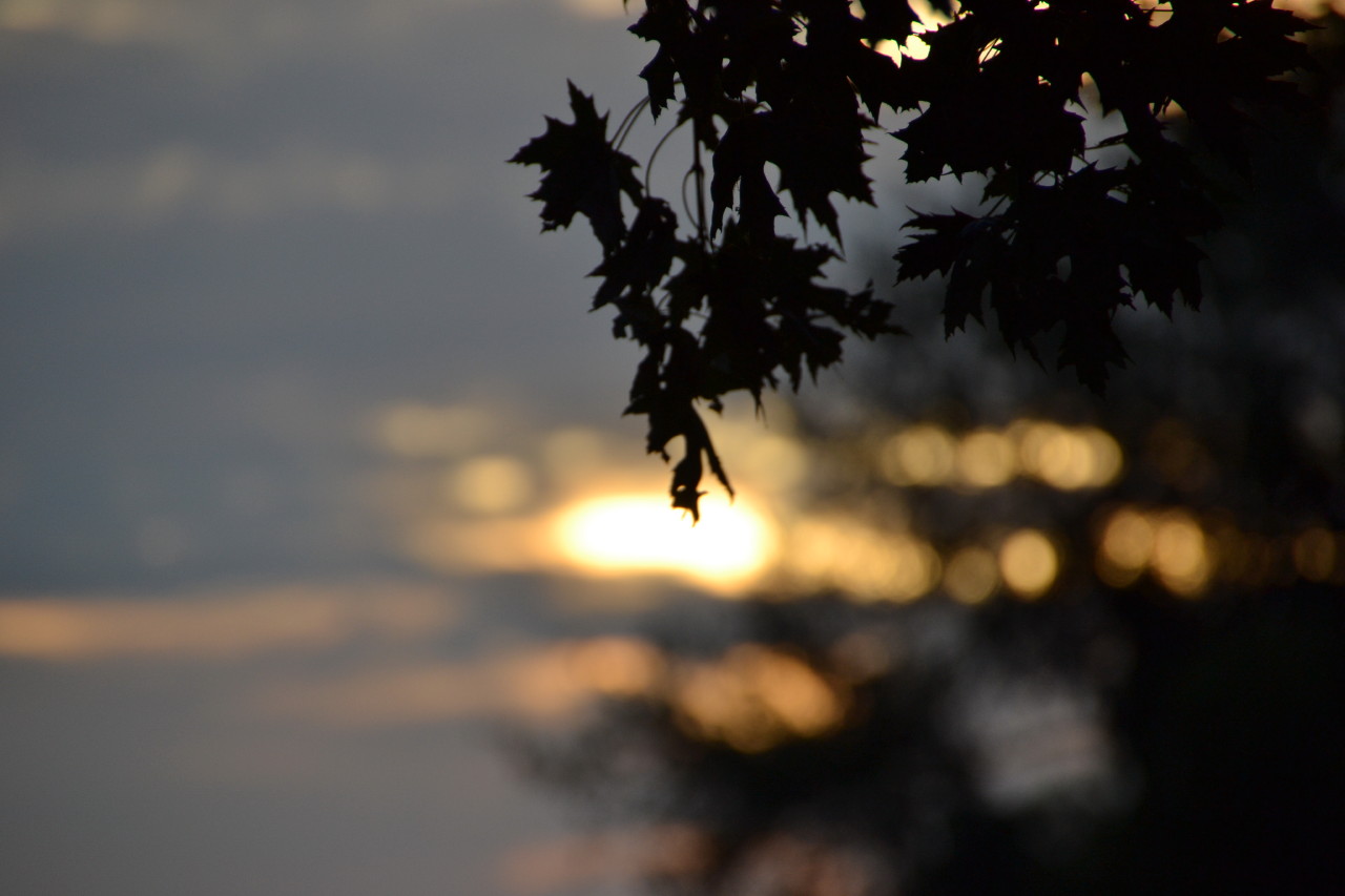Water Sports on Sodus Bay, NY | 06 September 2014 | Sat, 6 Sep 2014 | 7:23:43 PM Water Sports on Sodus Bay, NY | 06 September 2014 | Sat, 6 Sep 2014 | 7:23:43 PM