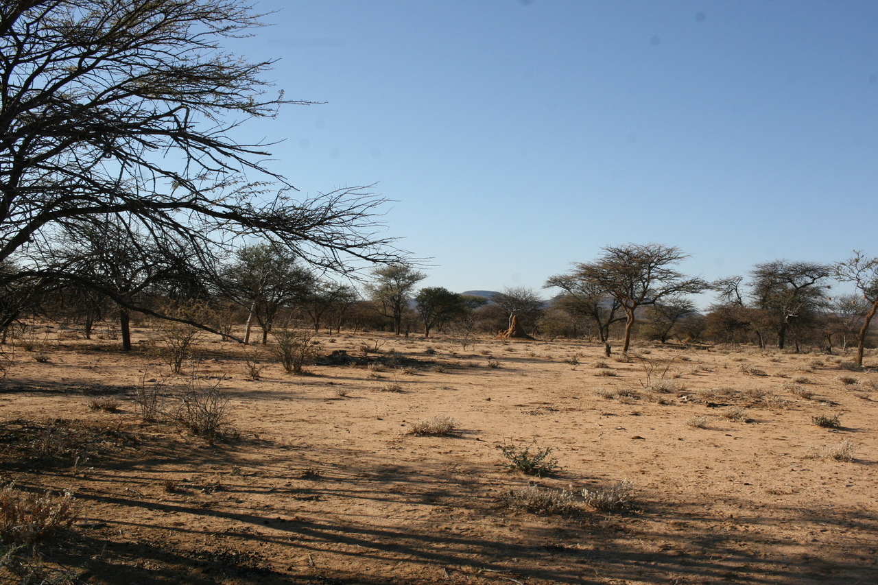 [1551] 2016_06_22_03_11_51_Africa_Canon_EOS_30D_IMG_1780_00047.jpg