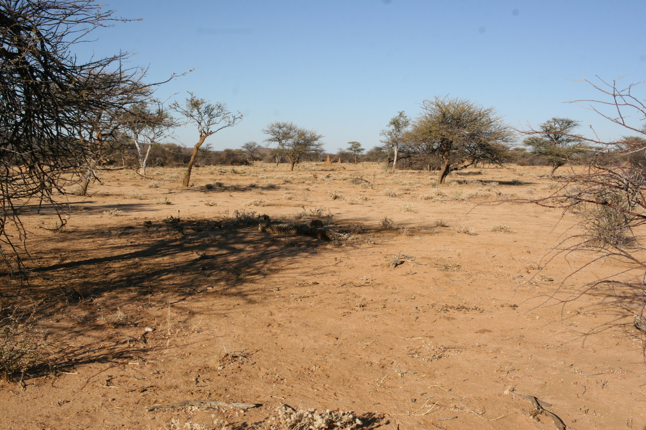 [1744] 2016_06_22_03_20_17_Africa_Canon_EOS_30D_IMG_1790_00236.jpg