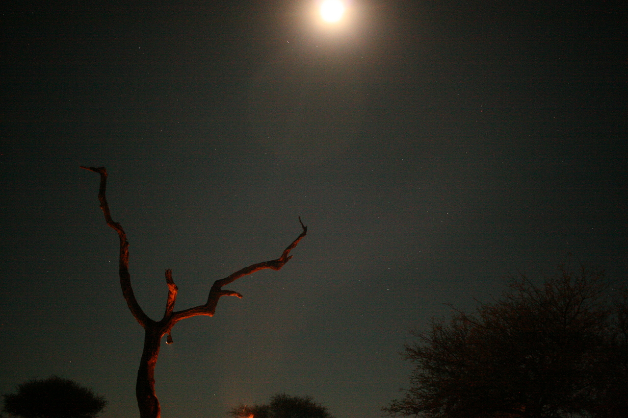 [3714] 2016_06_22_17_28_13_Africa_Canon_EOS_30D_IMG_1815_00080.jpg