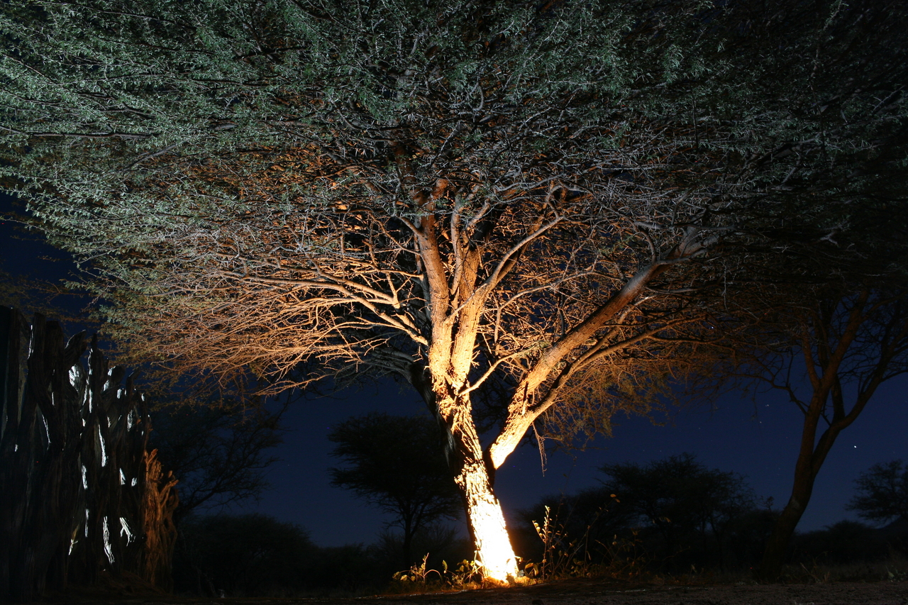 [3742] 2016_06_22_17_53_50_Africa_Canon_EOS_30D_IMG_1824_00089.jpg
