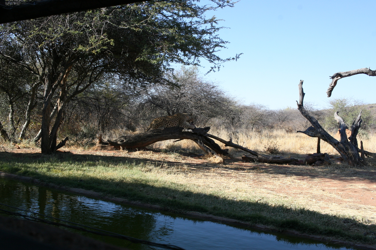 [6002] 2016_06_23_10_29_36_Africa_Canon_EOS_30D_IMG_1834_00278.jpg