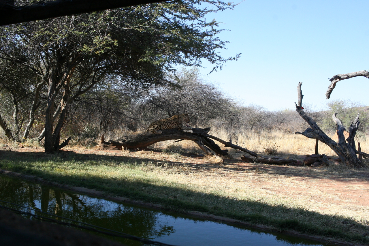 [6041] 2016_06_23_10_30_46_Africa_Canon_EOS_30D_IMG_1841_00106.jpg
