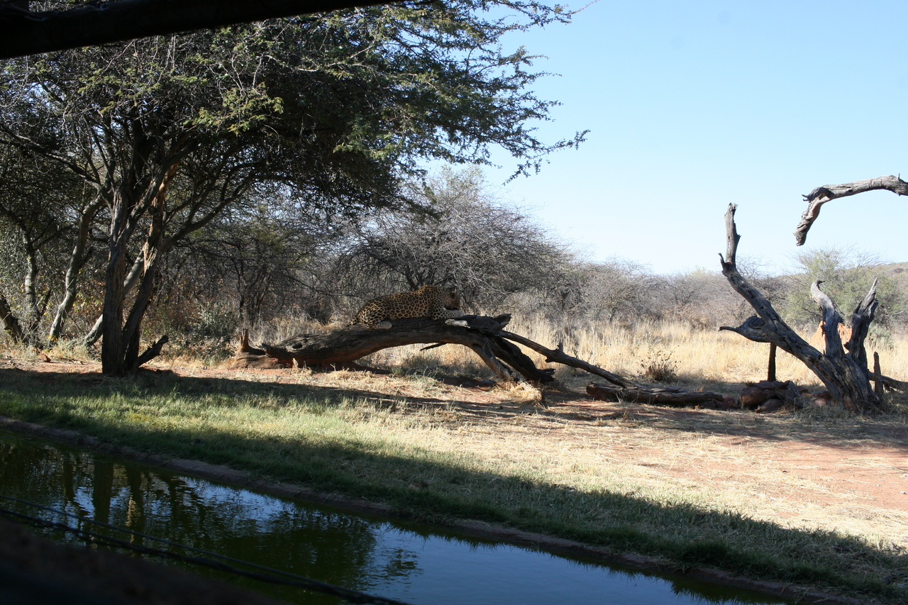 [6051] 2016_06_23_10_31_35_Africa_Canon_EOS_30D_IMG_1844_00288.jpg