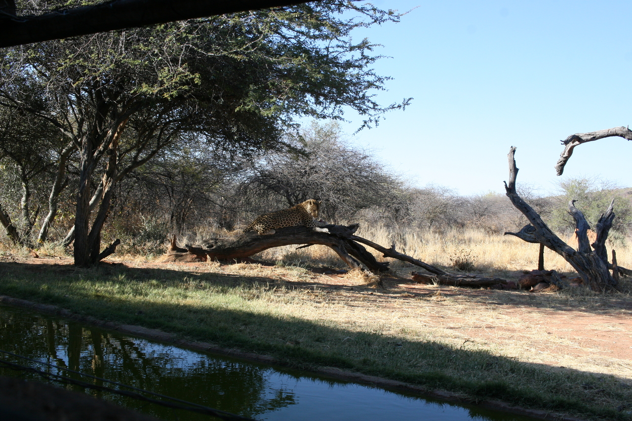 [6112] 2016_06_23_10_37_52_Africa_Canon_EOS_30D_IMG_1857_00122.jpg
