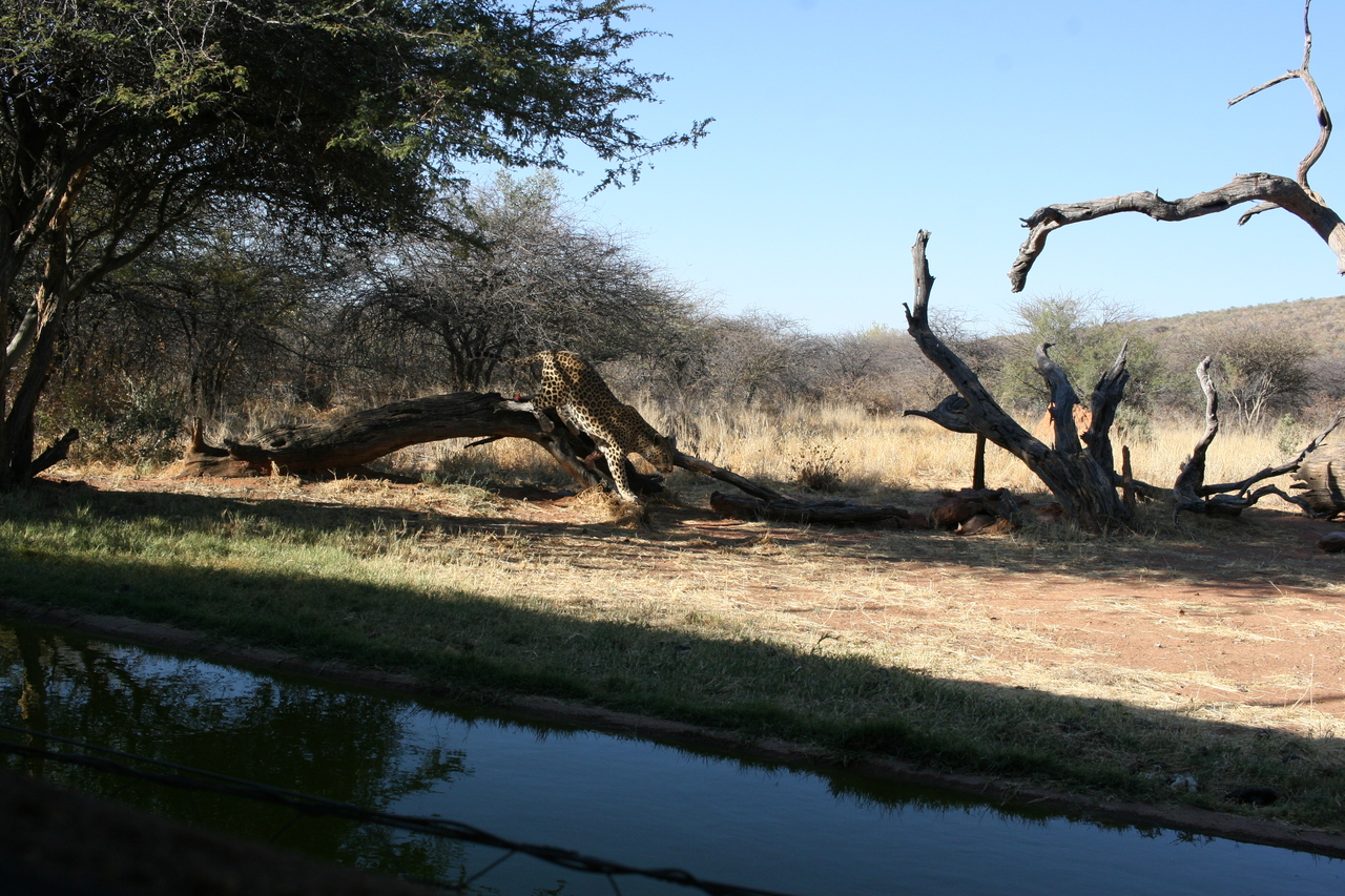 [6119] 2016_06_23_10_38_00_Africa_Canon_EOS_30D_IMG_1860_00304.jpg