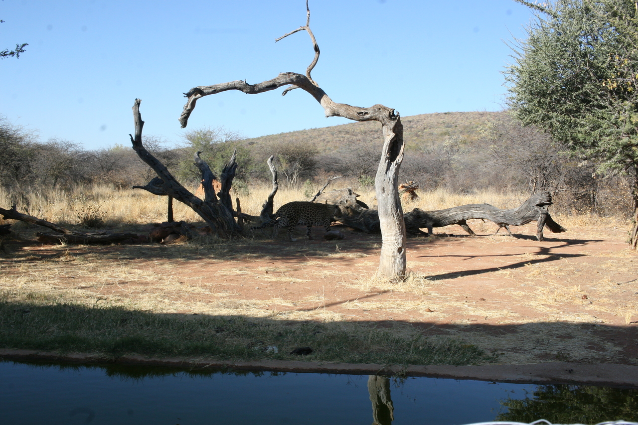 [6127] 2016_06_23_10_38_12_Africa_Canon_EOS_30D_IMG_1864_00308.jpg