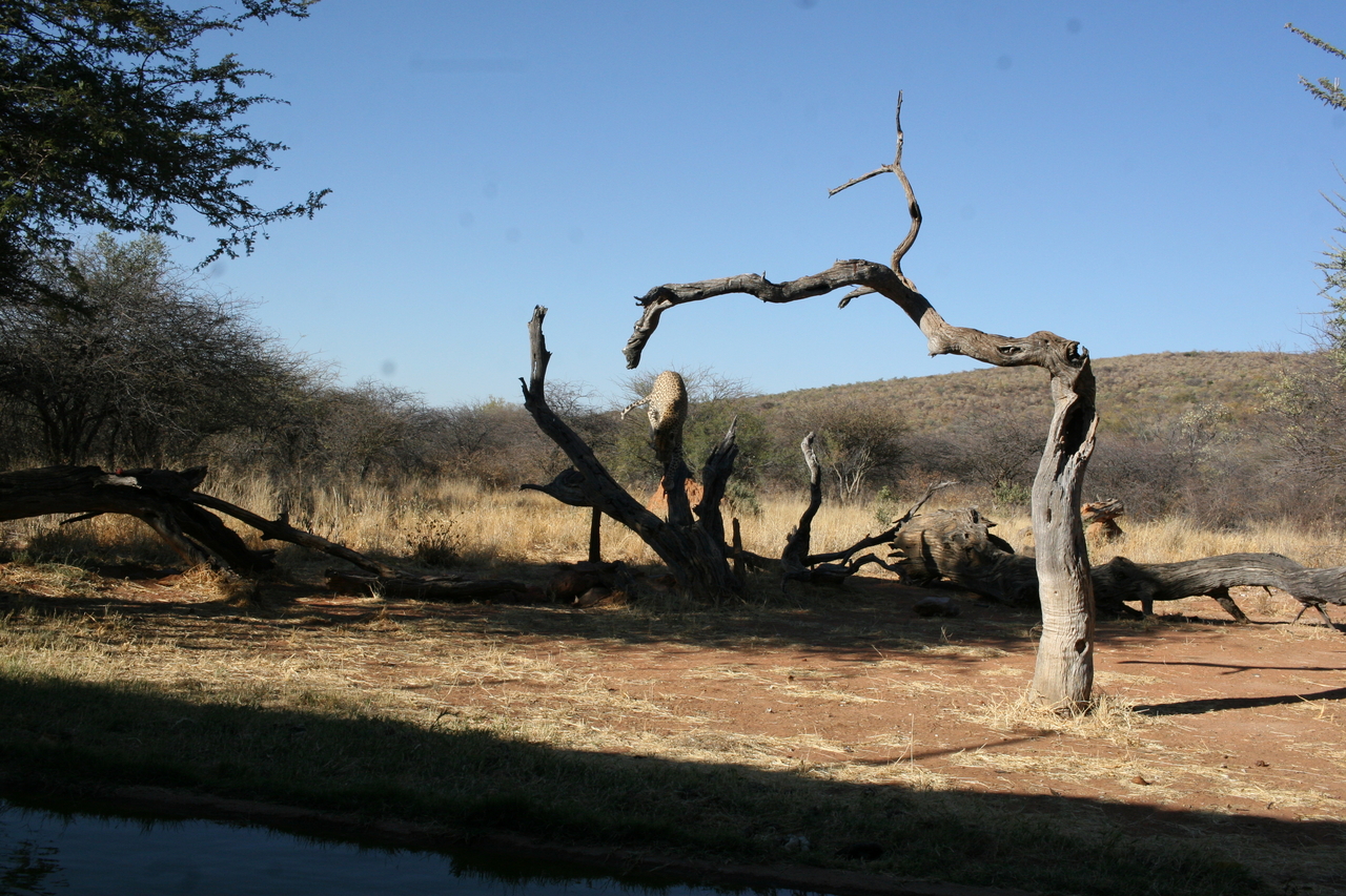 [6149] 2016_06_23_10_38_51_Africa_Canon_EOS_30D_IMG_1875_00319.jpg
