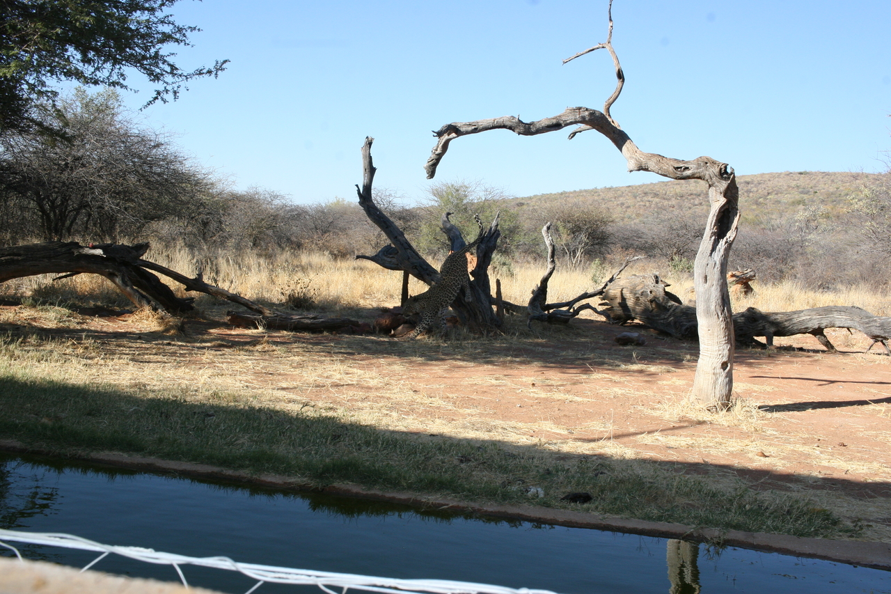 [6150] 2016_06_23_10_39_02_Africa_Canon_EOS_30D_IMG_1876_00141.jpg