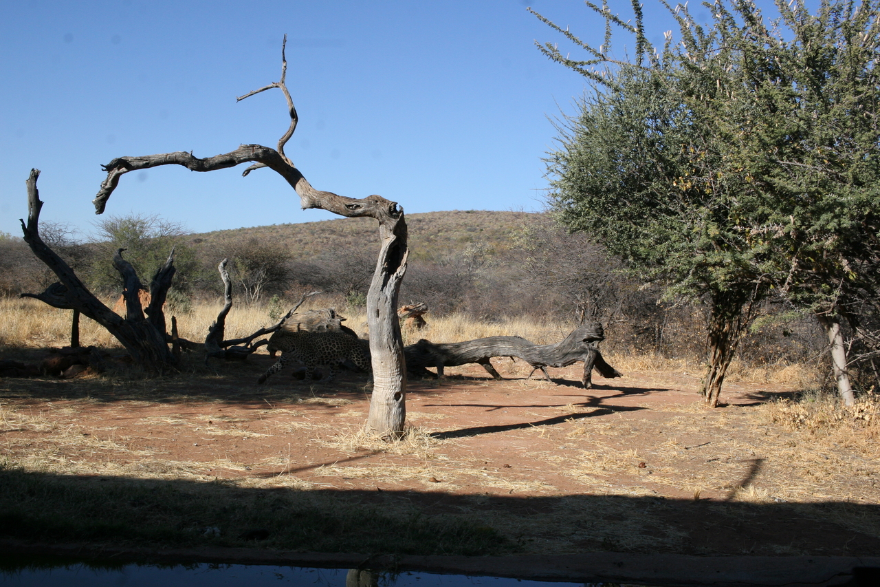 [6174] 2016_06_23_10_40_07_Africa_Canon_EOS_30D_IMG_1888_00153.jpg