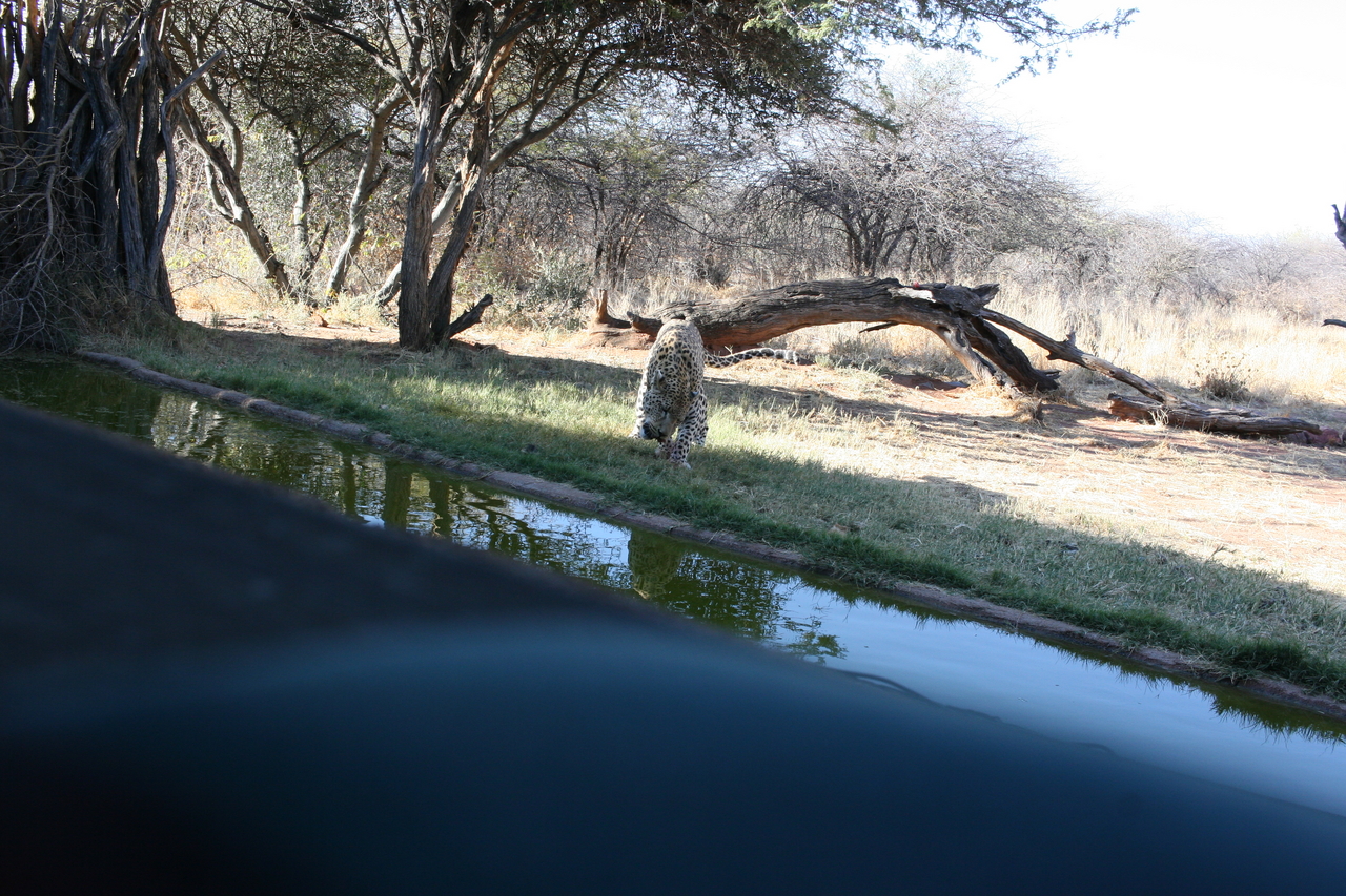 [6180] 2016_06_23_10_40_23_Africa_Canon_EOS_30D_IMG_1891_00156.jpg