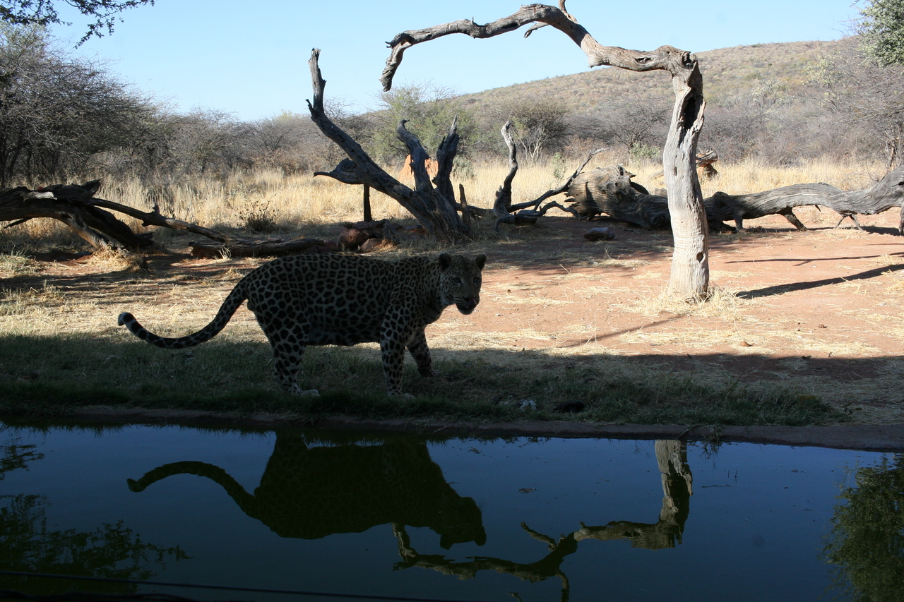 [6195] 2016_06_23_10_41_11_Africa_Canon_EOS_30D_IMG_1898_00342.jpg