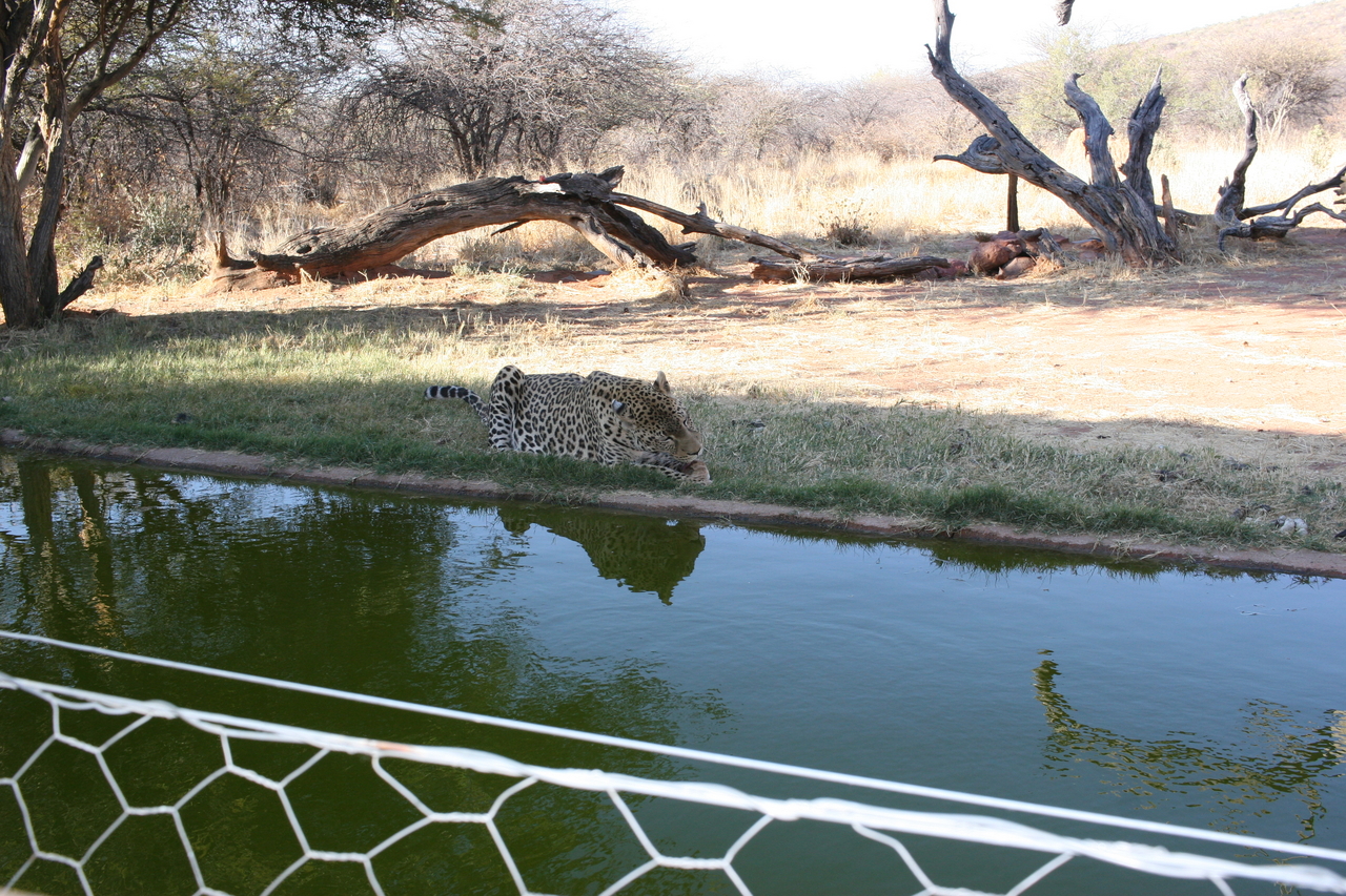 [6241] 2016_06_23_10_43_59_Africa_Canon_EOS_30D_IMG_1914_00179.jpg