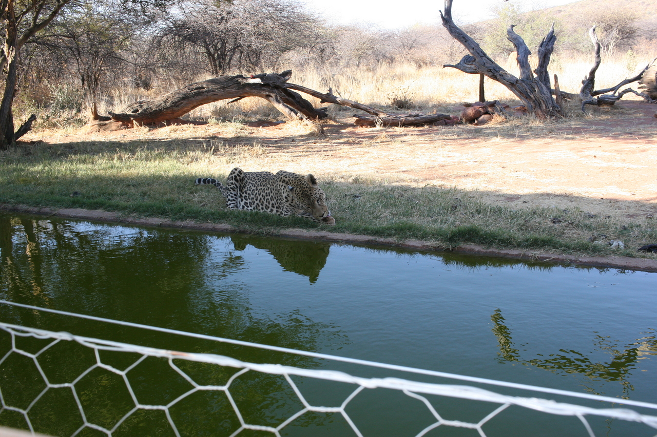 [6252] 2016_06_23_10_44_06_Africa_Canon_EOS_30D_IMG_1915_00180.jpg